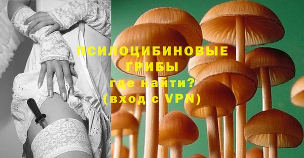 герыч Абаза