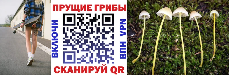 цена наркотик  МЕГА онион  Галлюциногенные грибы мухоморы  Адыгейск 